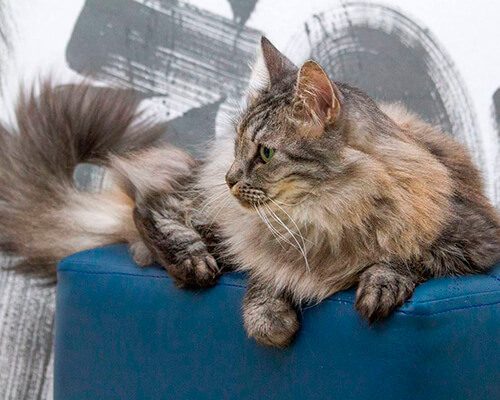 Тиль и Шарлотта1